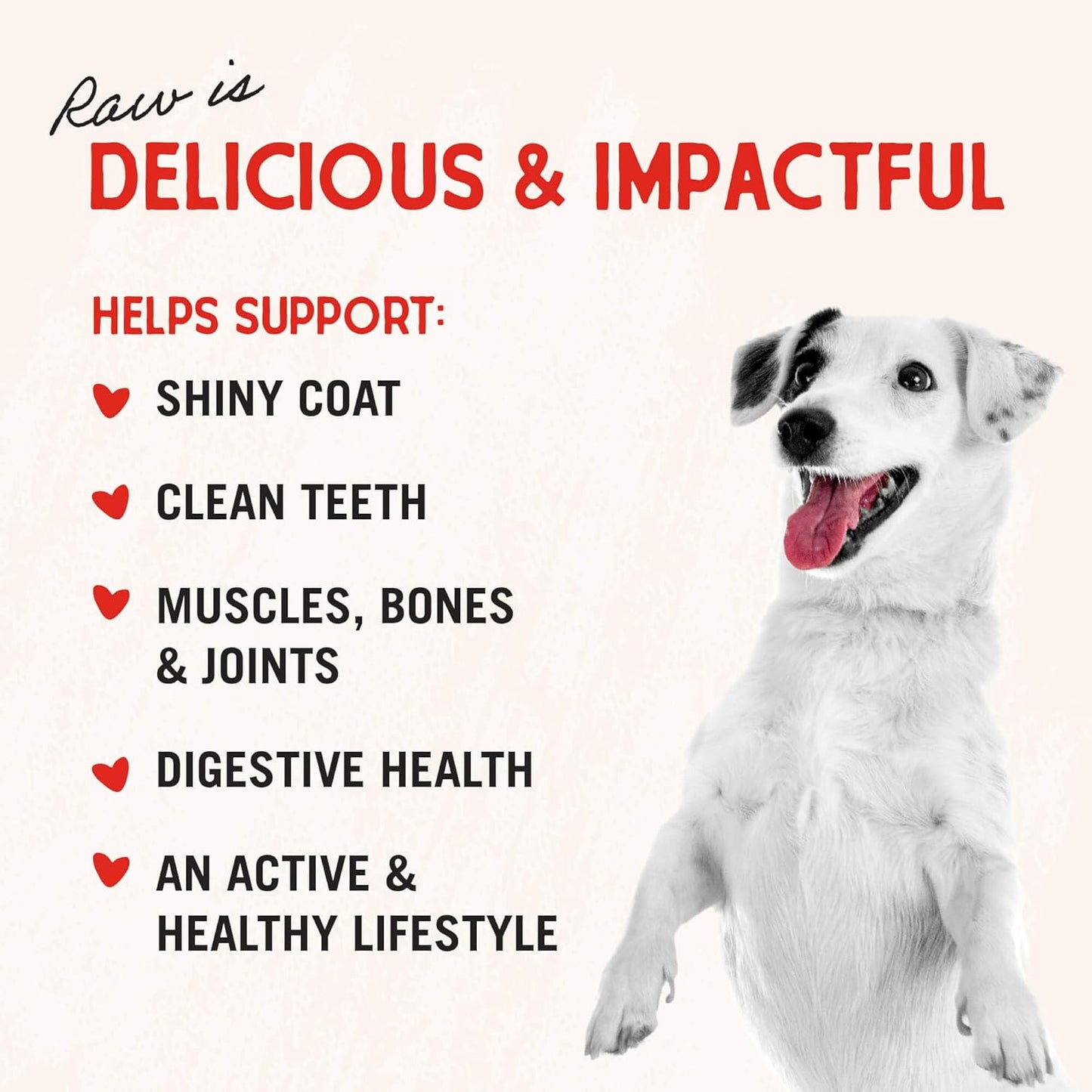 Stella & Chewy’s Freeze-Dried Raw Chicken Breast Dog Treats – 2.75 oz