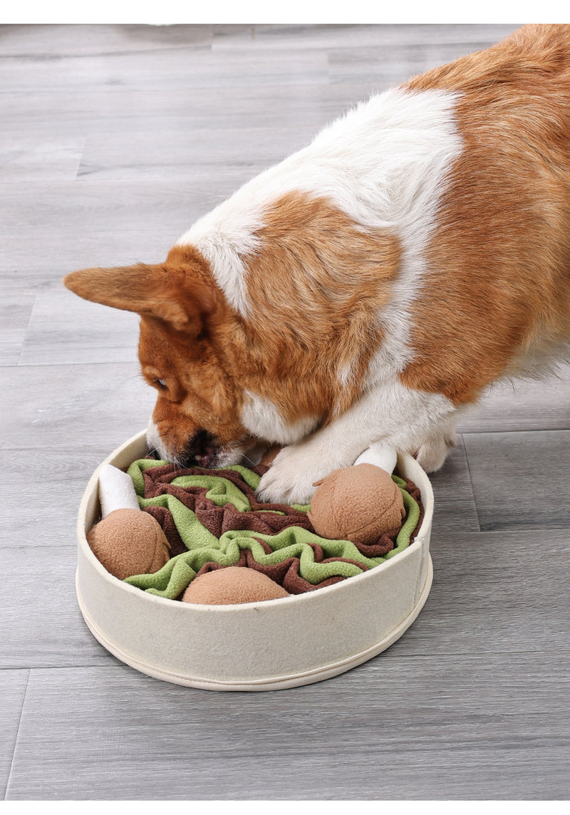 Chicken Bucket Sniff Toy for Dogs