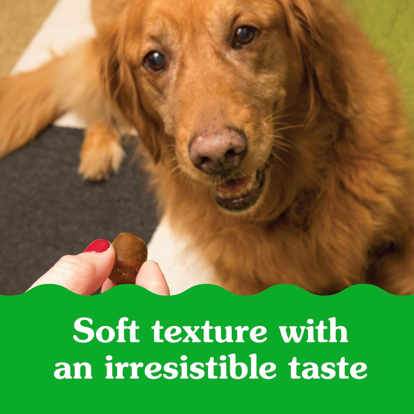 Greenies Pill Pockets Real Peanut Butter Soft Dog Treats – 7.9 oz (30 Count)