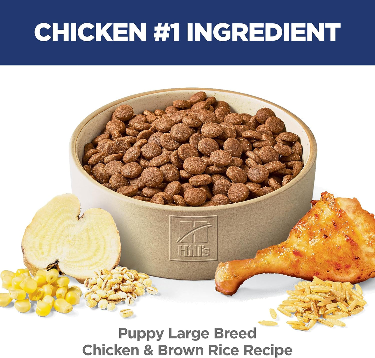 Large Breed Puppy Chicken & Brown Rice Dry Dog Food – 15.5 lb