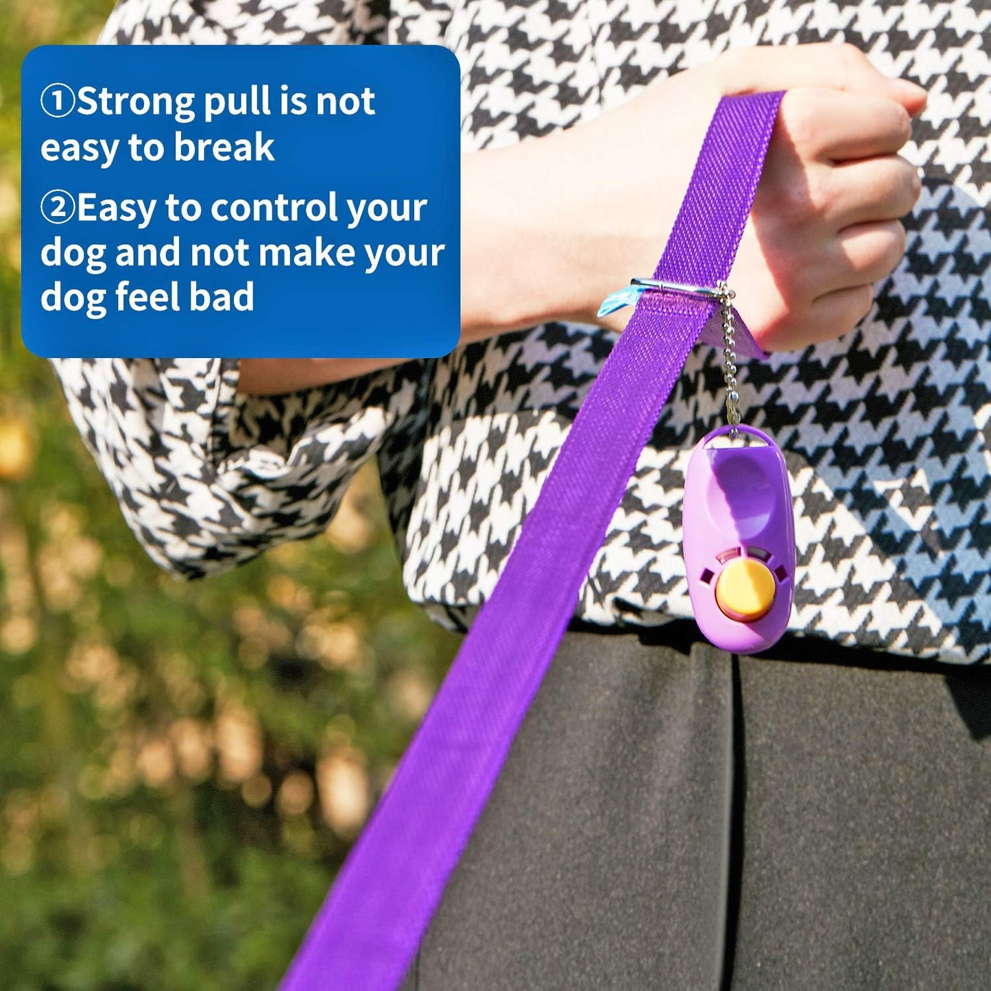 Long Training Leash with Clicker – 30 ft, Purple