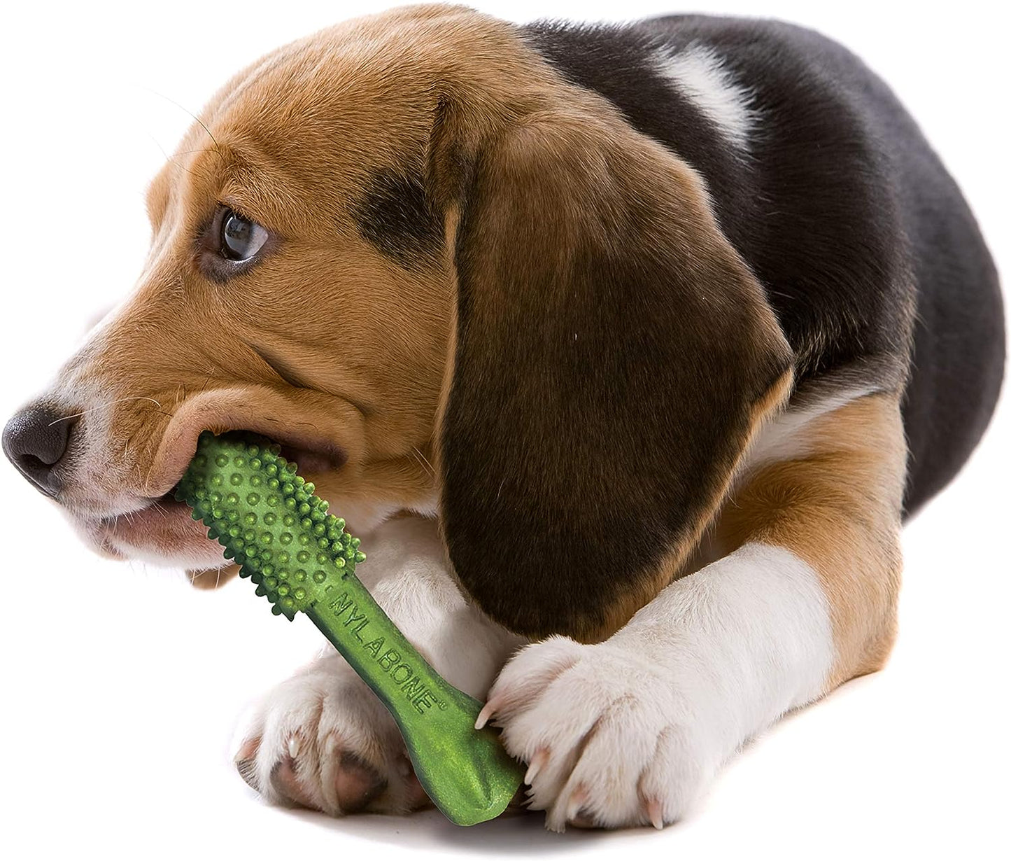 Dental Chews for Dogs – Fresh Breath (40 Count)