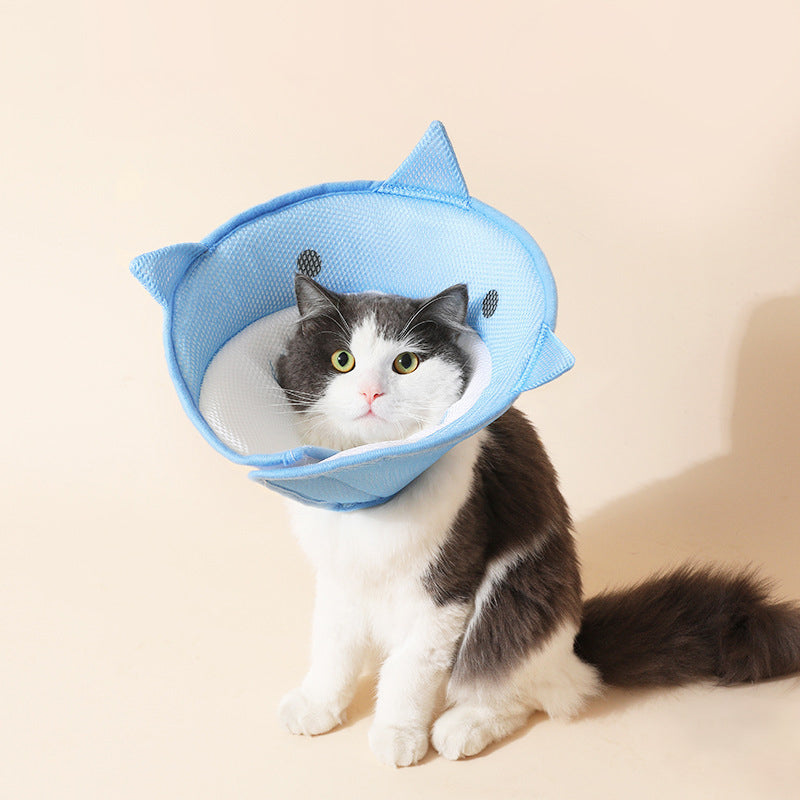 Soft Recovery Collar – Eat & Heal Comfortably