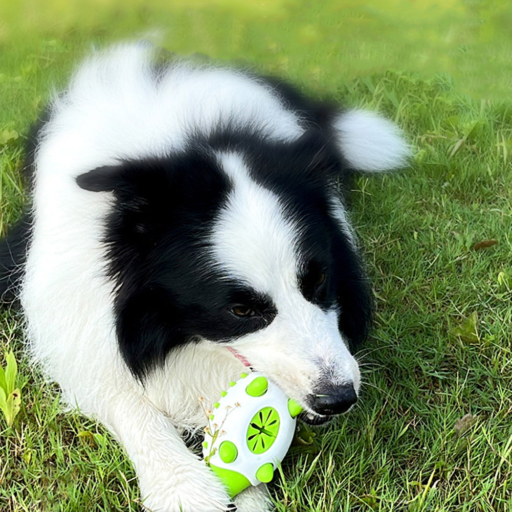 TPR Treat Toy for Dogs