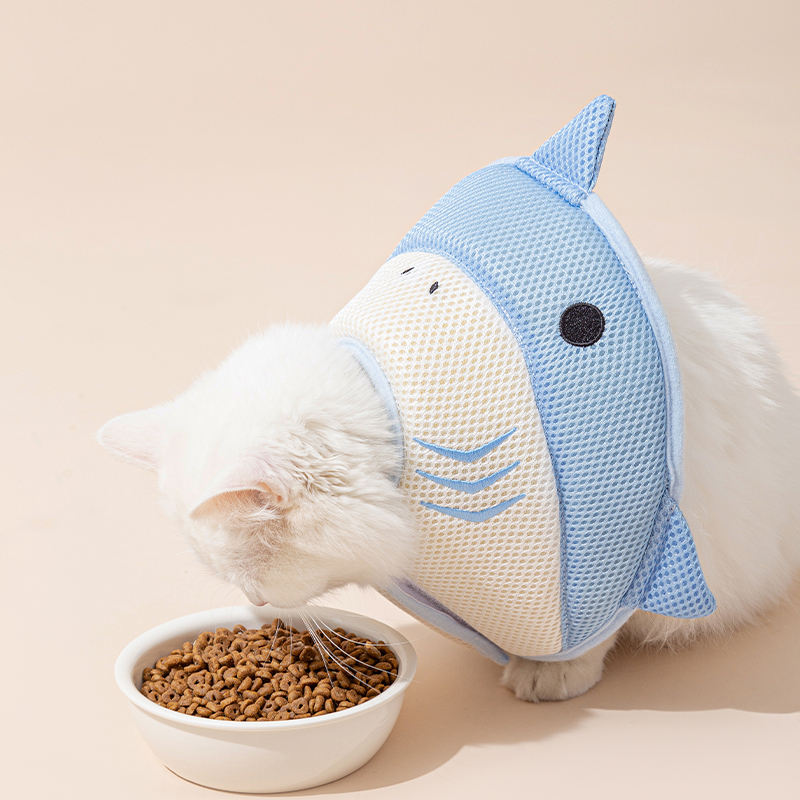 Soft Recovery Collar – Eat & Heal Comfortably