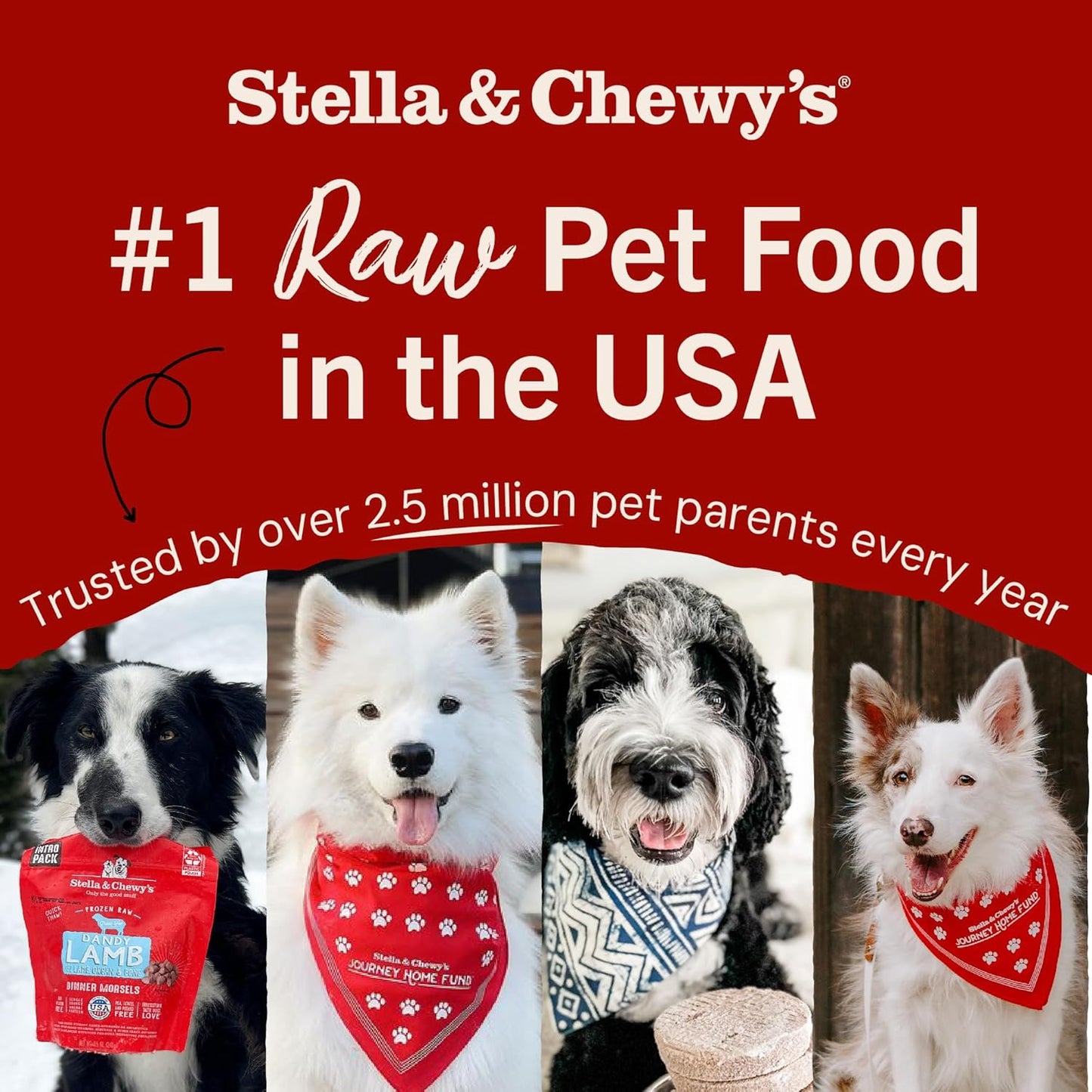 Stella & Chewy’s Freeze-Dried Raw Chicken Breast Dog Treats – 2.75 oz