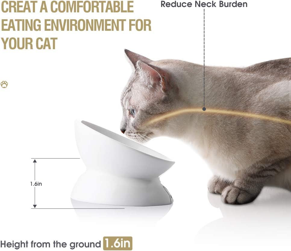 Ceramic Cat Bowl – Raised Design for Spine Comfort