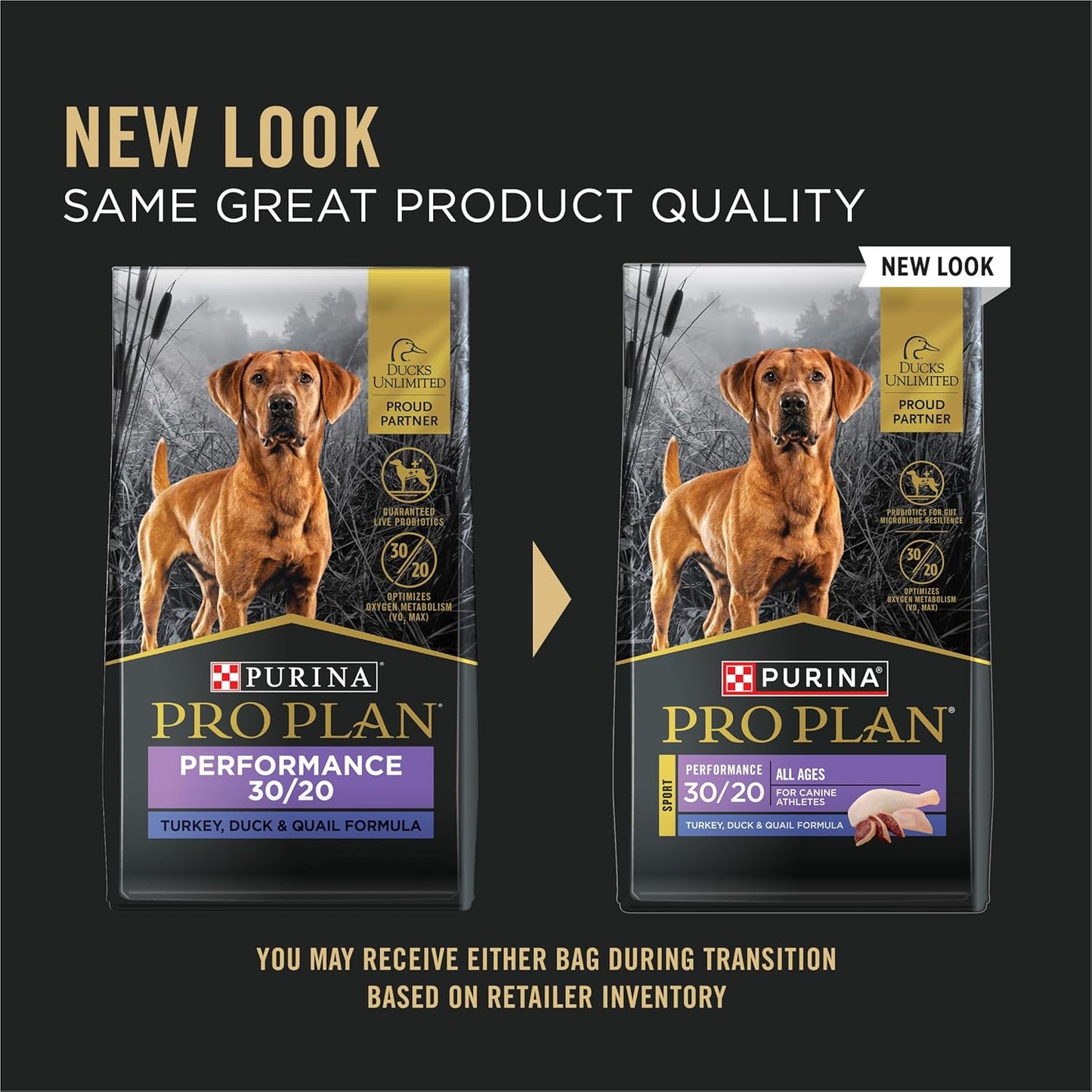 Sport Performance Turkey, Duck & Quail High-Protein Dog Food – 6 lb