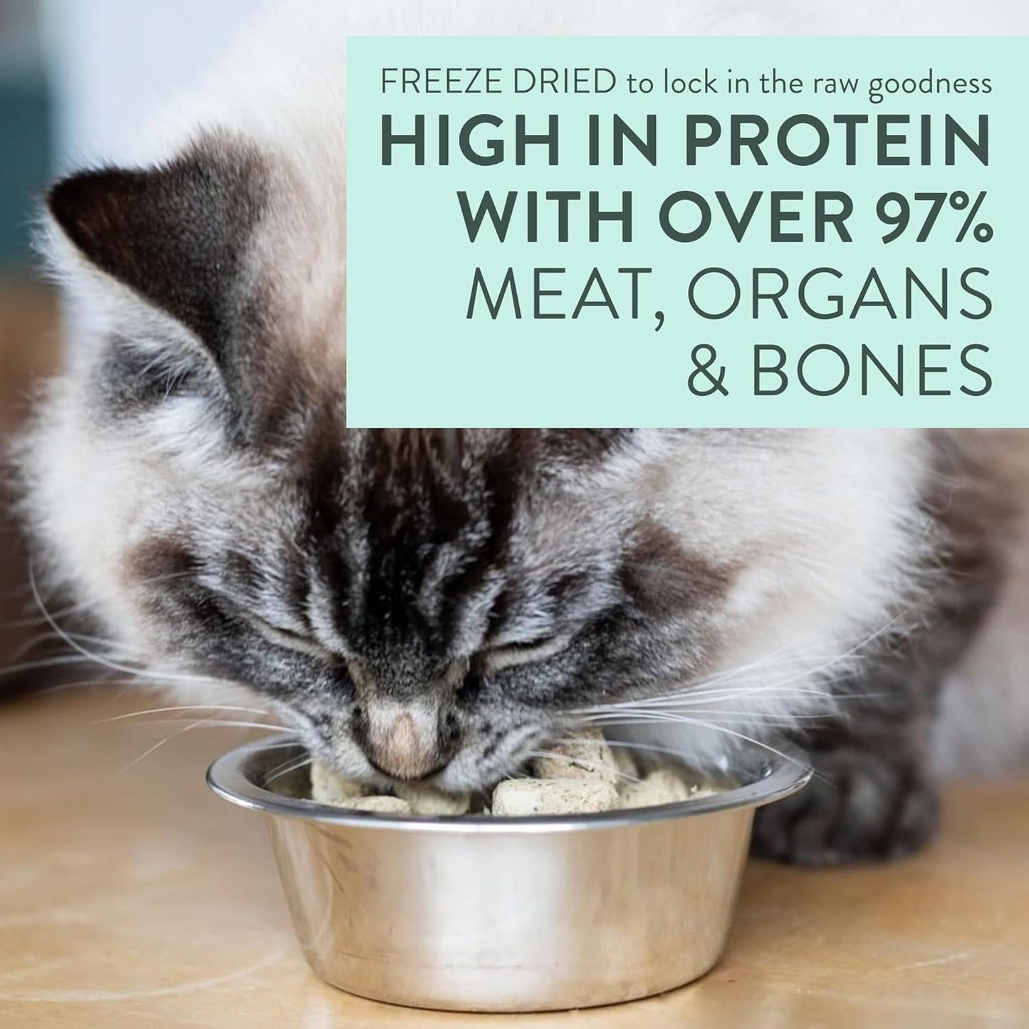 Meow Beef & Hoki Freeze-Dried Raw Cat Food – 9.9 oz.