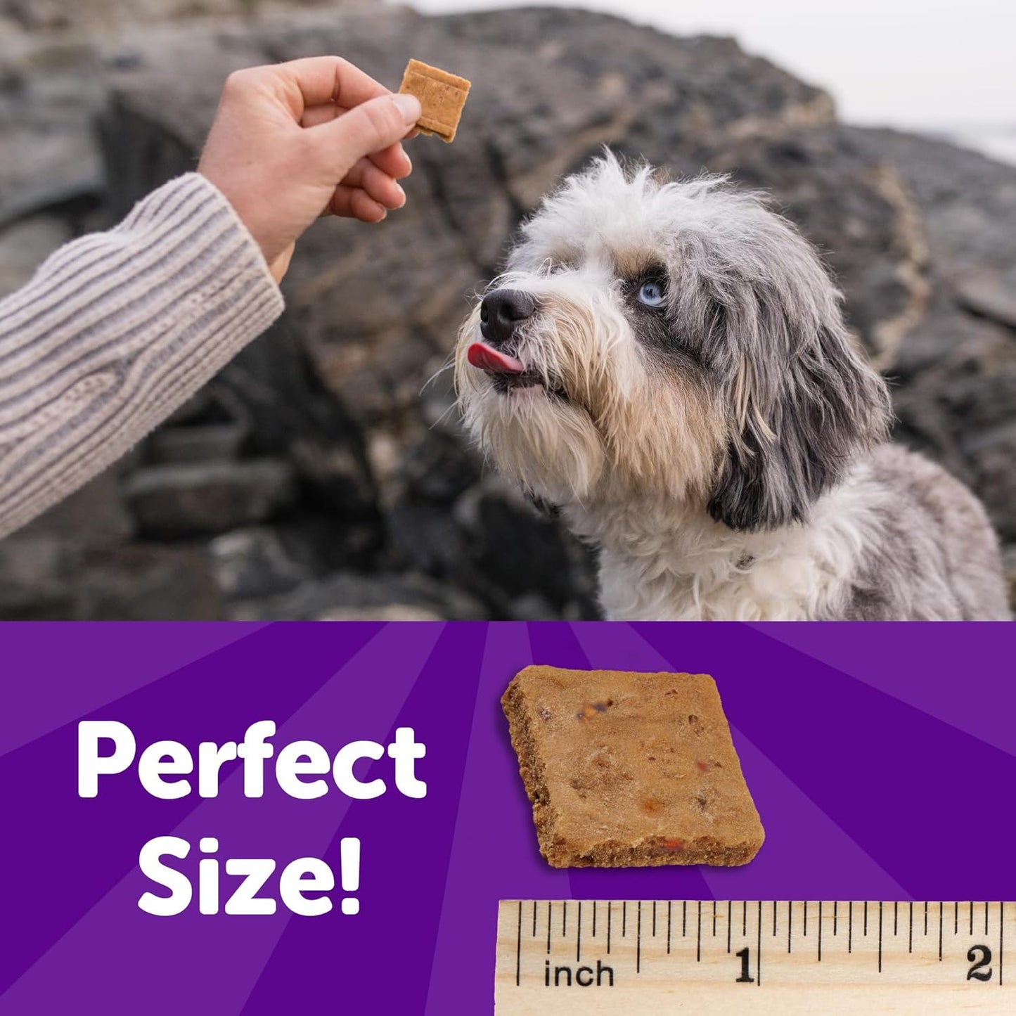Rewarding Life Chicken & Lamb Soft Dog Treats – 6 oz