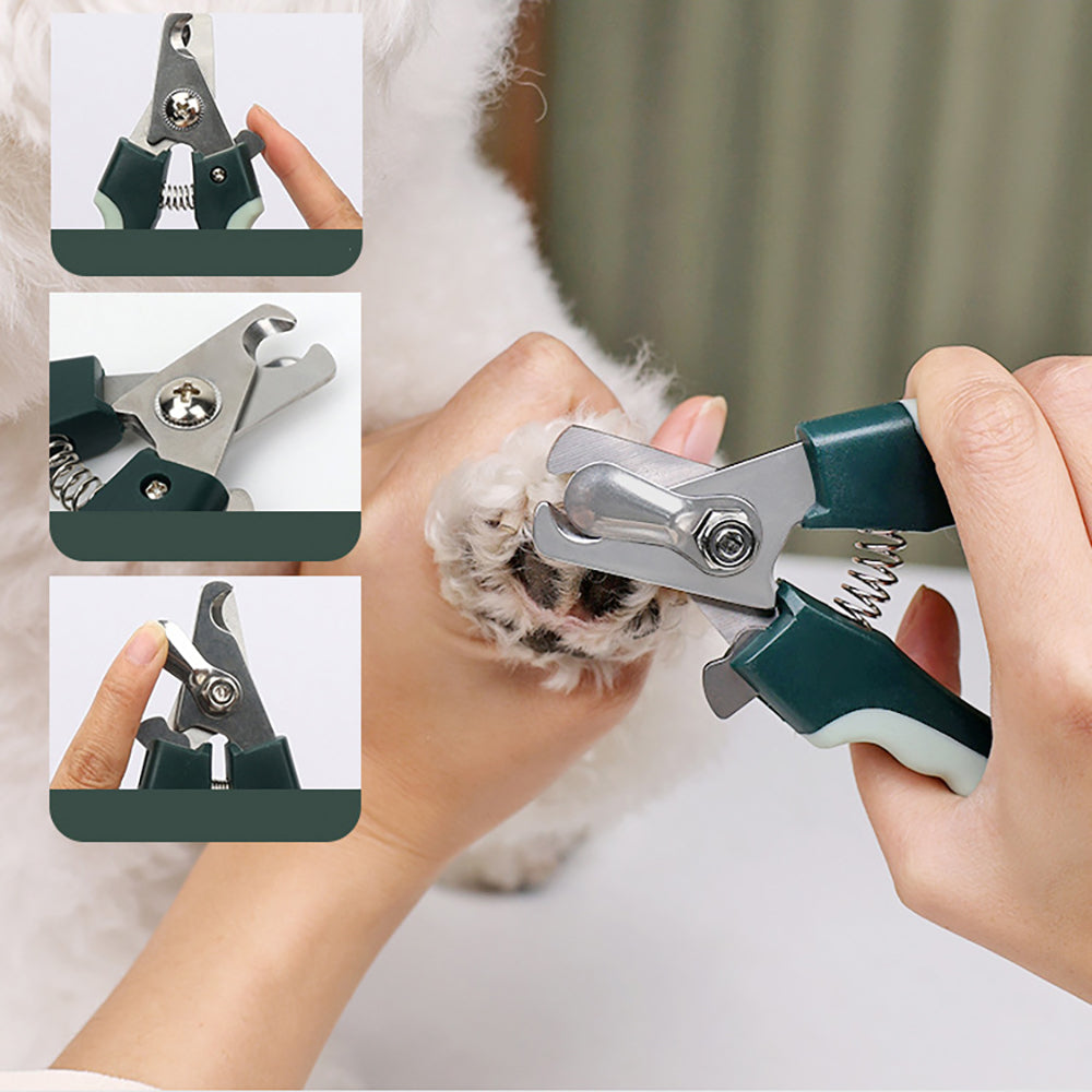 Pro Pet Grooming Kit – Quiet Clippers & Full Grooming Care