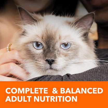IAMS Proactive Health Adult Sensitive Digestion & Skin Turkey Dry Cat Food - 13 lb