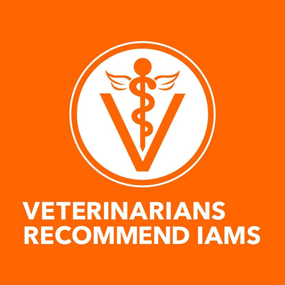 IAMS Hairball Care Chicken & Salmon Dry Cat Food – 7 lb