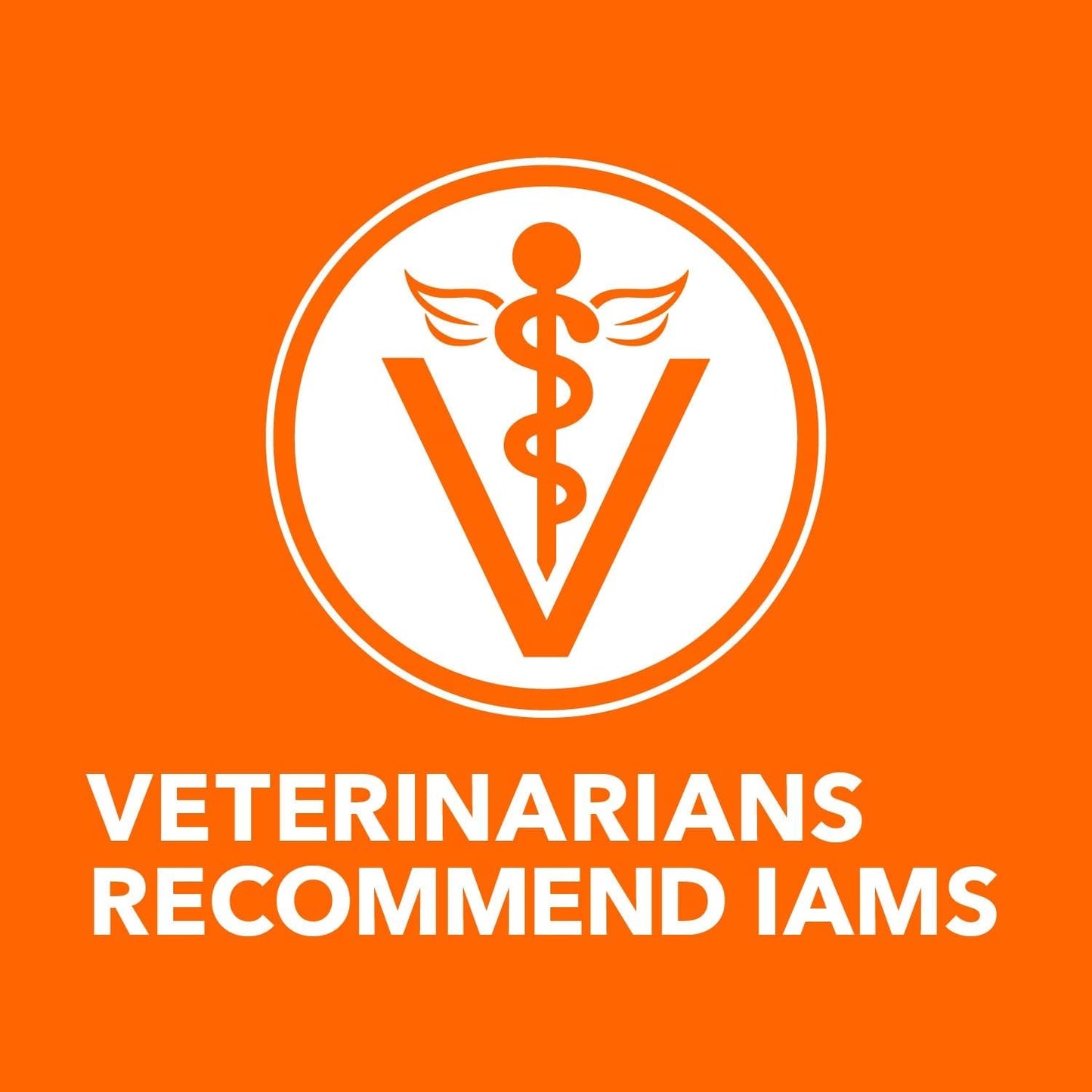 IAMS Proactive Health Adult Sensitive Digestion & Skin Turkey Dry Cat Food - 13 lb