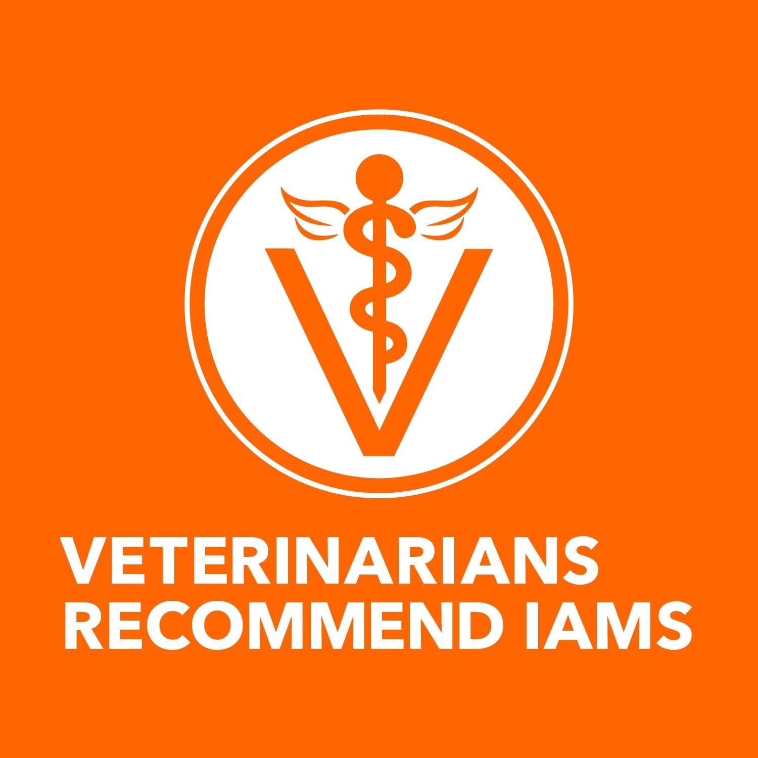 IAMS Proactive Health Adult Sensitive Digestion & Skin Turkey Dry Cat Food - 13 lb
