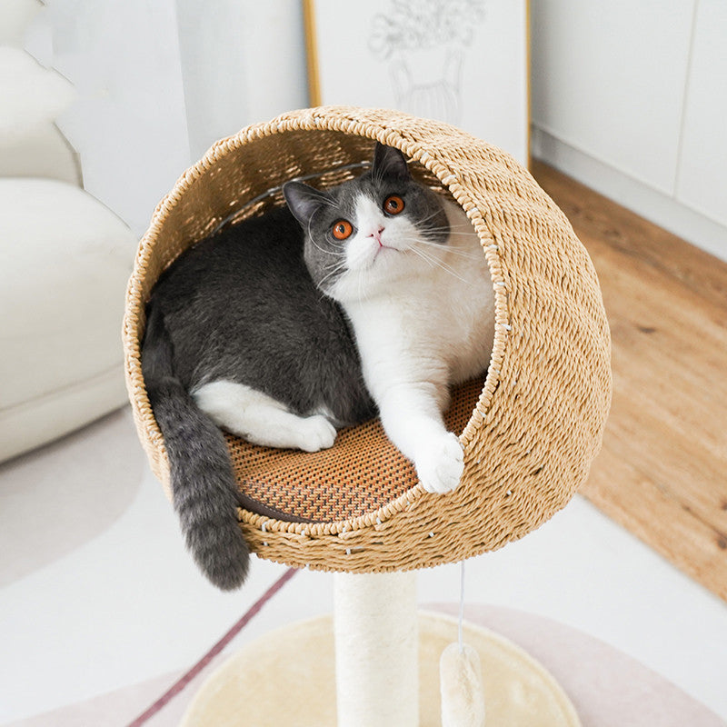 Rattan Cat Tree – Climbing Tower with Nest