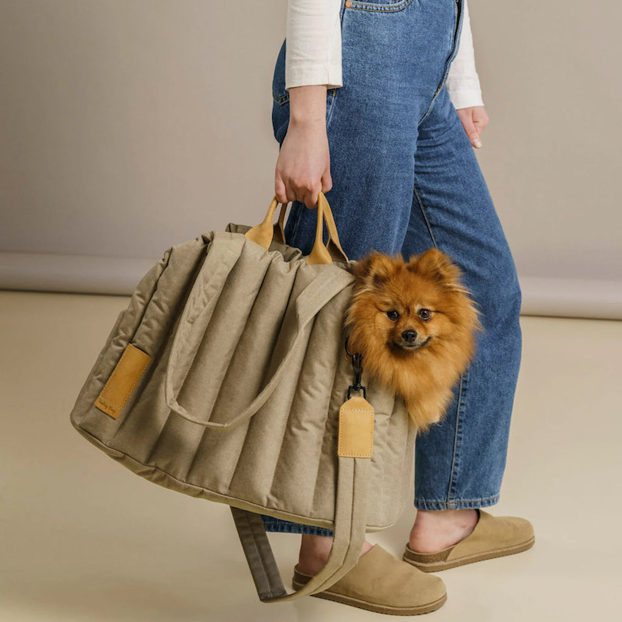 Waterproof Pet Carrier Bag – Stylish Travel & Large Capacity