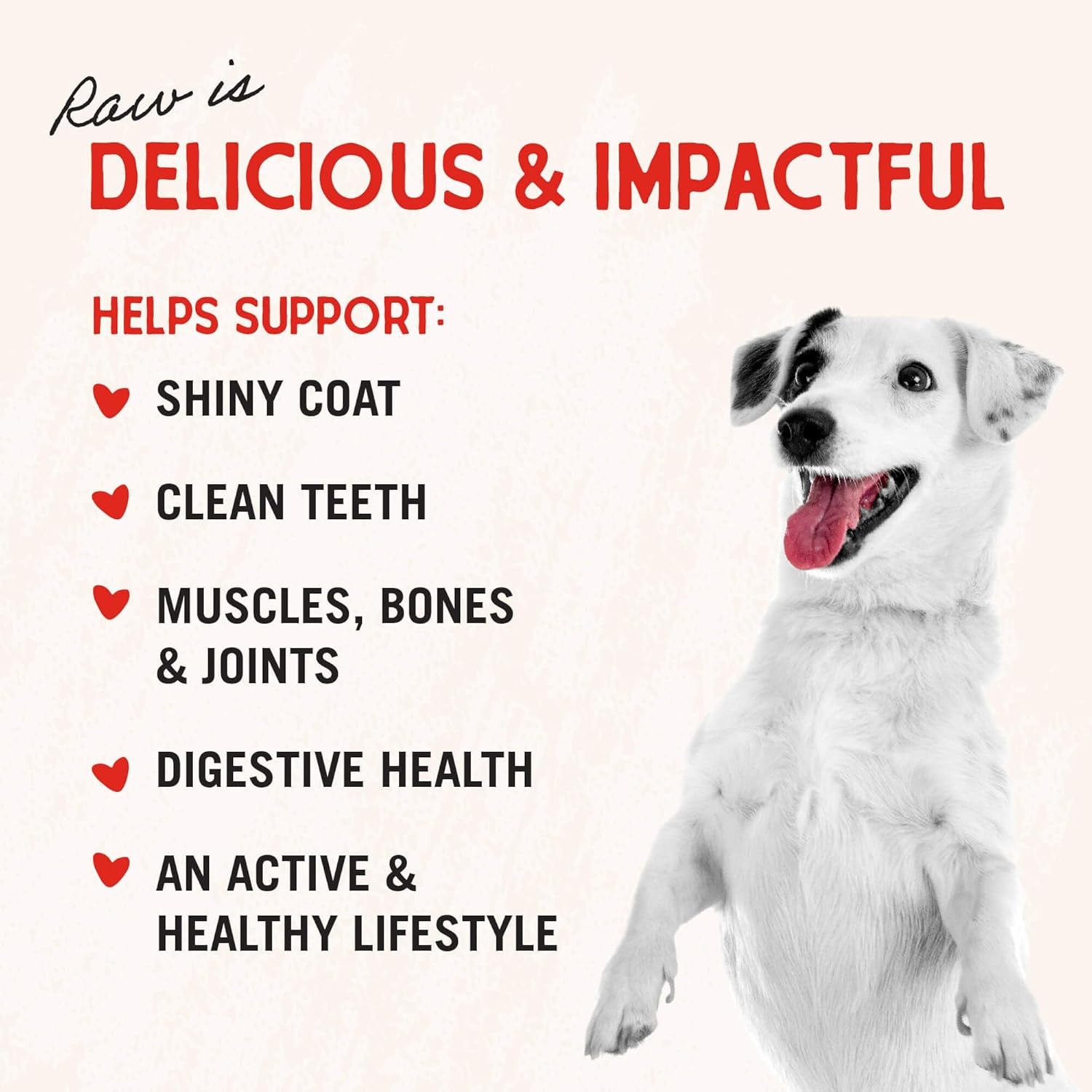 Stella & Chewy’s Freeze-Dried Raw Chicken Breast Dog Treats – 2.75 oz