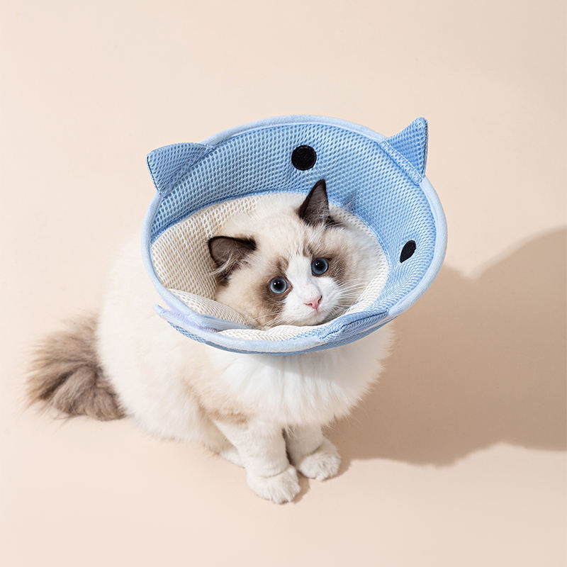 Soft Recovery Collar – Eat & Heal Comfortably