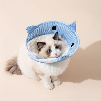 Soft Recovery Collar – Eat & Heal Comfortably