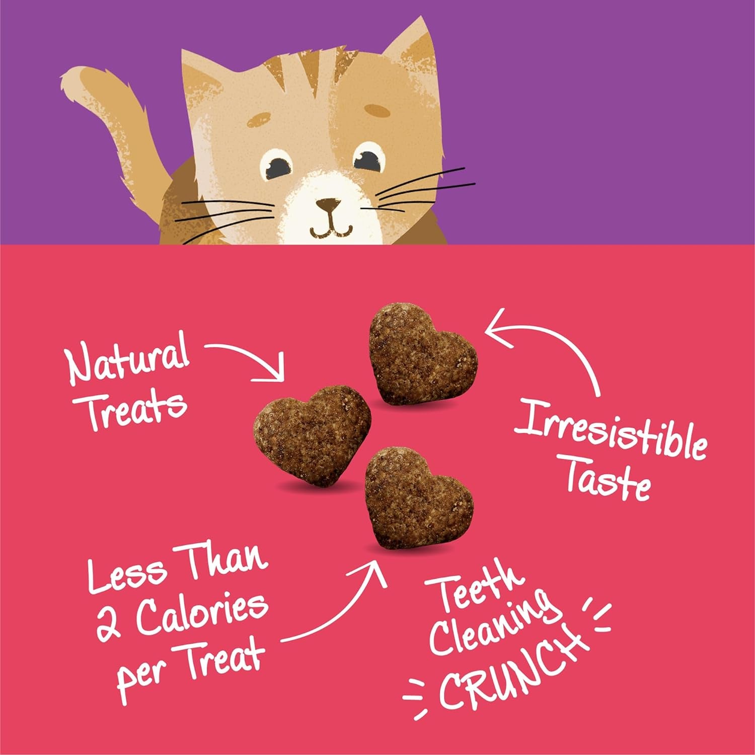 Crunchy Salmon & Cranberry Cat Treats – 6 oz