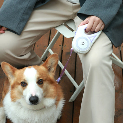 Auto-Retractable Leash + Collar – With Spotlight 