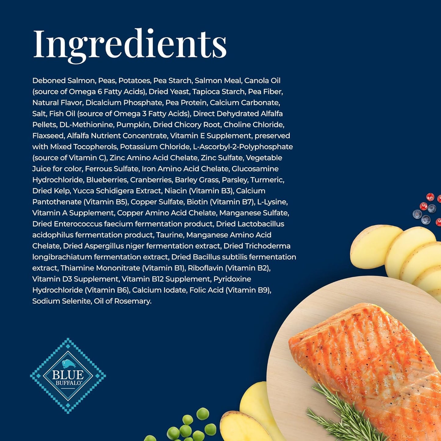 Basics Grain-Free Salmon Recipe Dry Dog Food – 22 lb