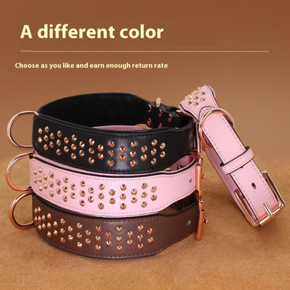 Anti-Bite Rivet Dog Collar