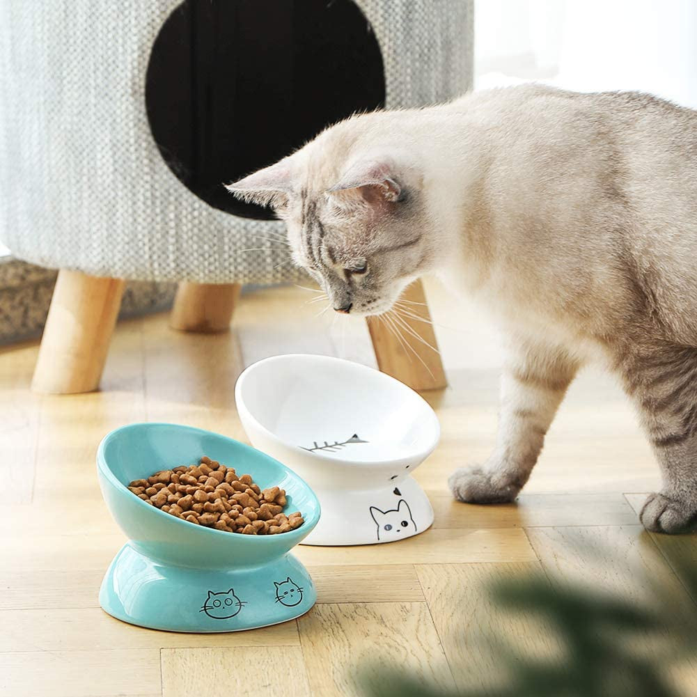 Ceramic Cat Bowl – Raised Design for Spine Comfort
