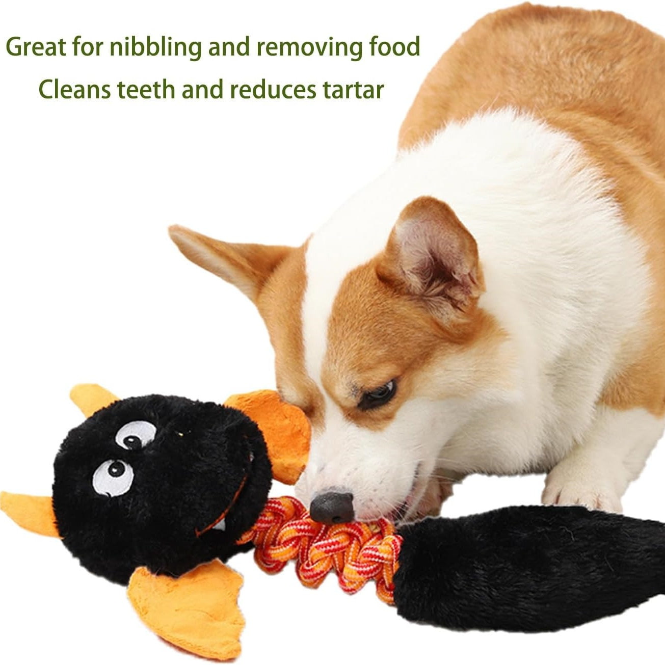 Plush Squeaky Toy – Soft Fun