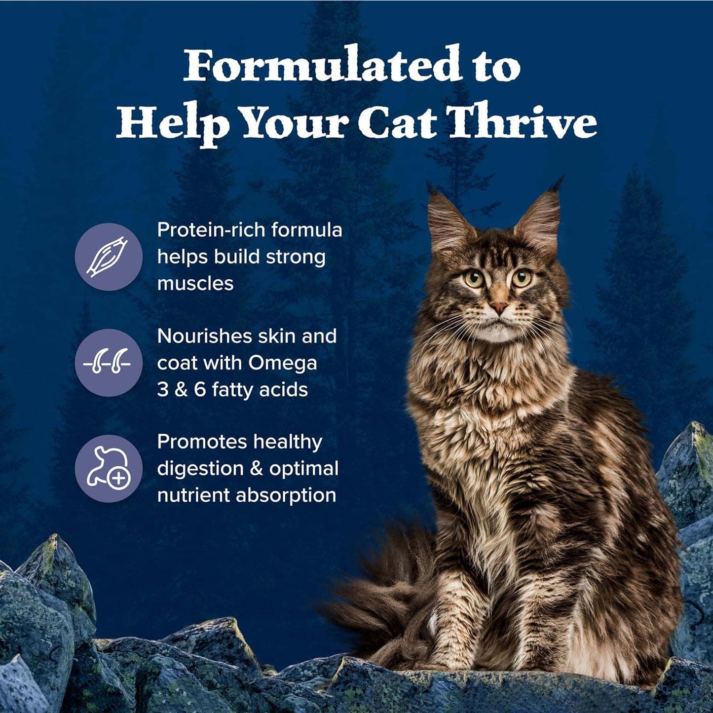 Wilderness Chicken Dry Food for Cats – 6lb