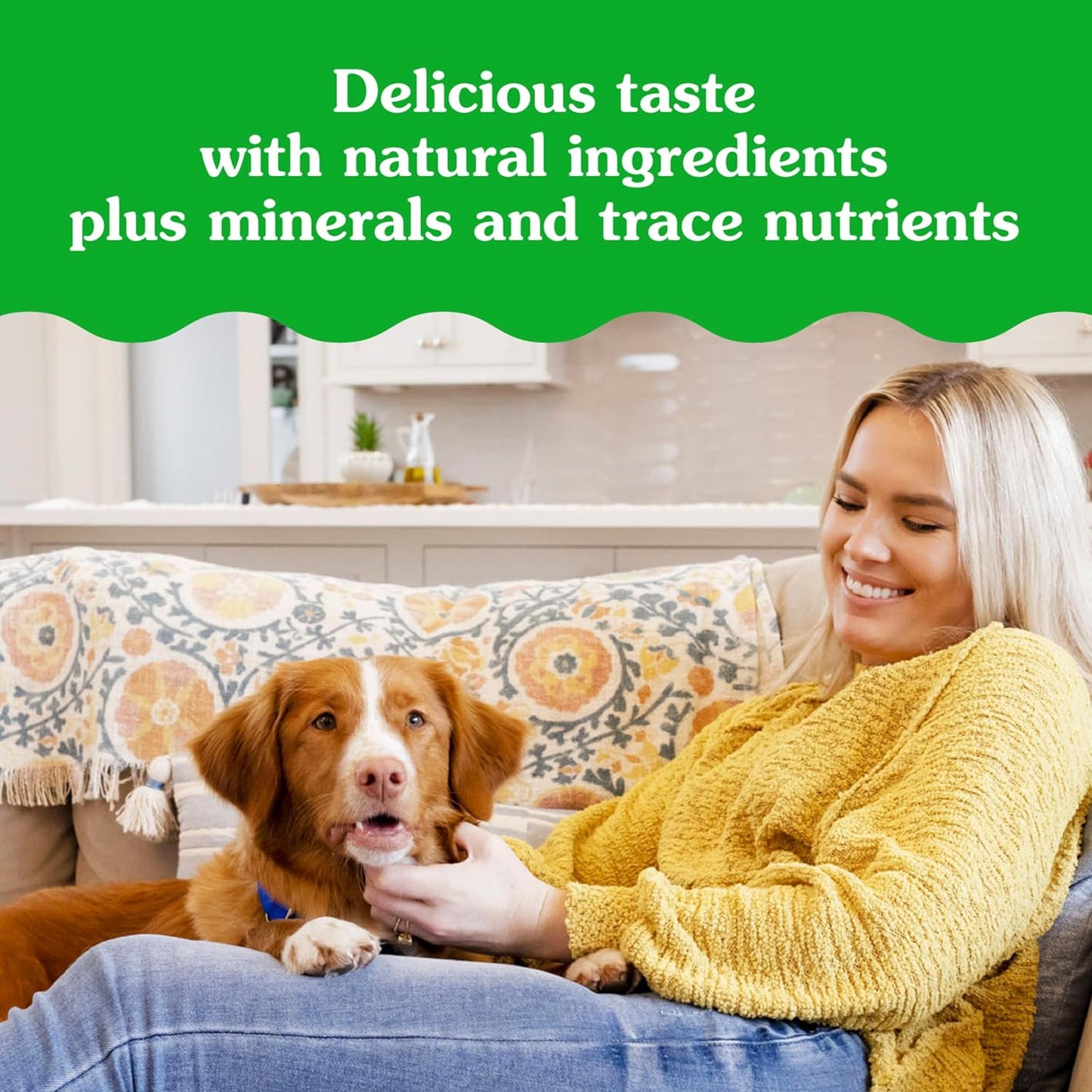 Greenies Pill Pockets Cheese Soft Dog Treats – 15.8 oz (60 Count)