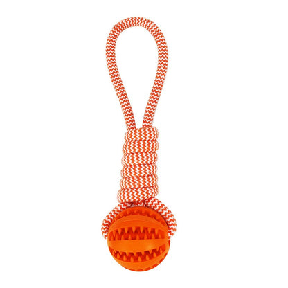 Treat Ball & Chew Rope