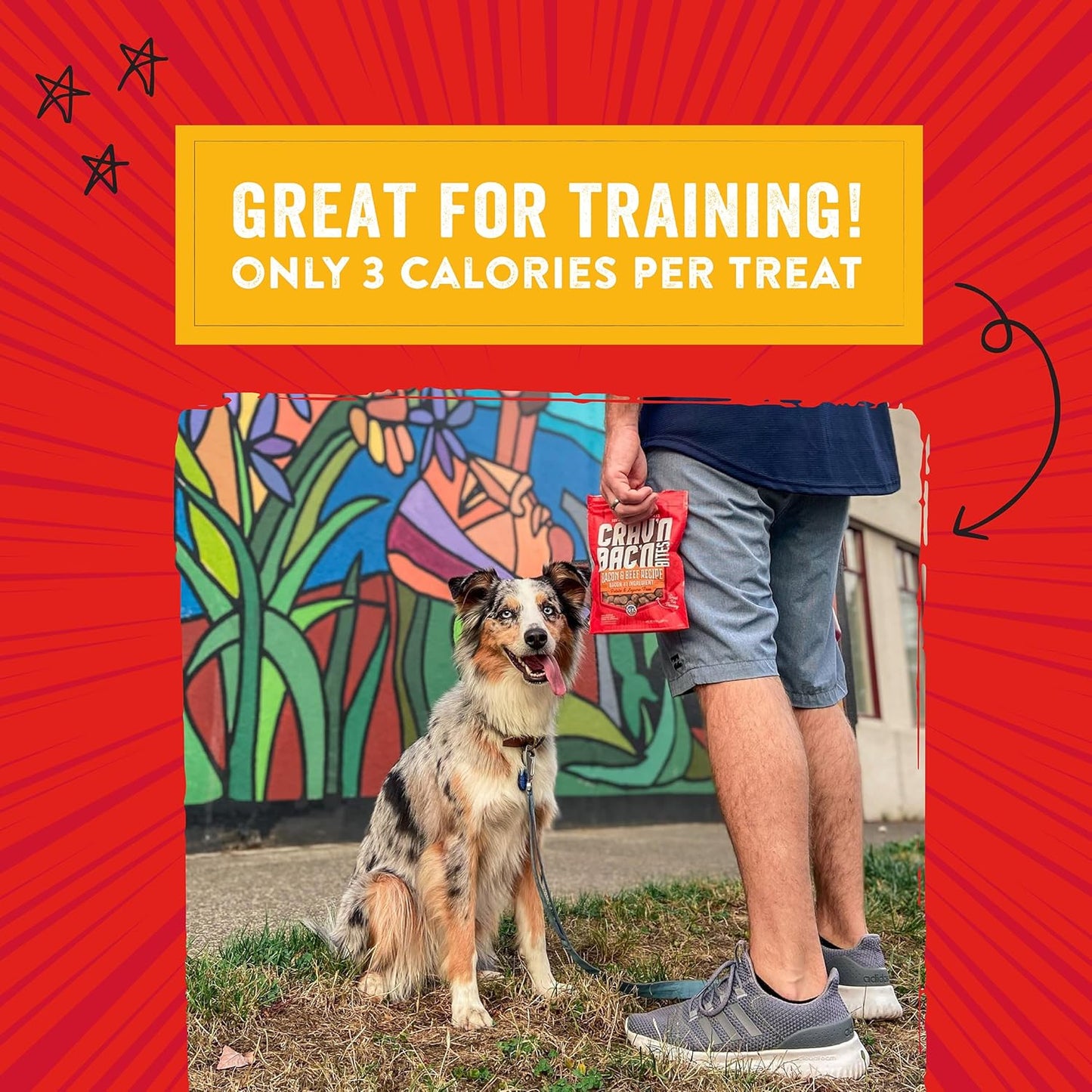 Stella & Chewy's Crav'N Bac'N Bacon & Chicken Dog Training Treats – 8.25 oz.