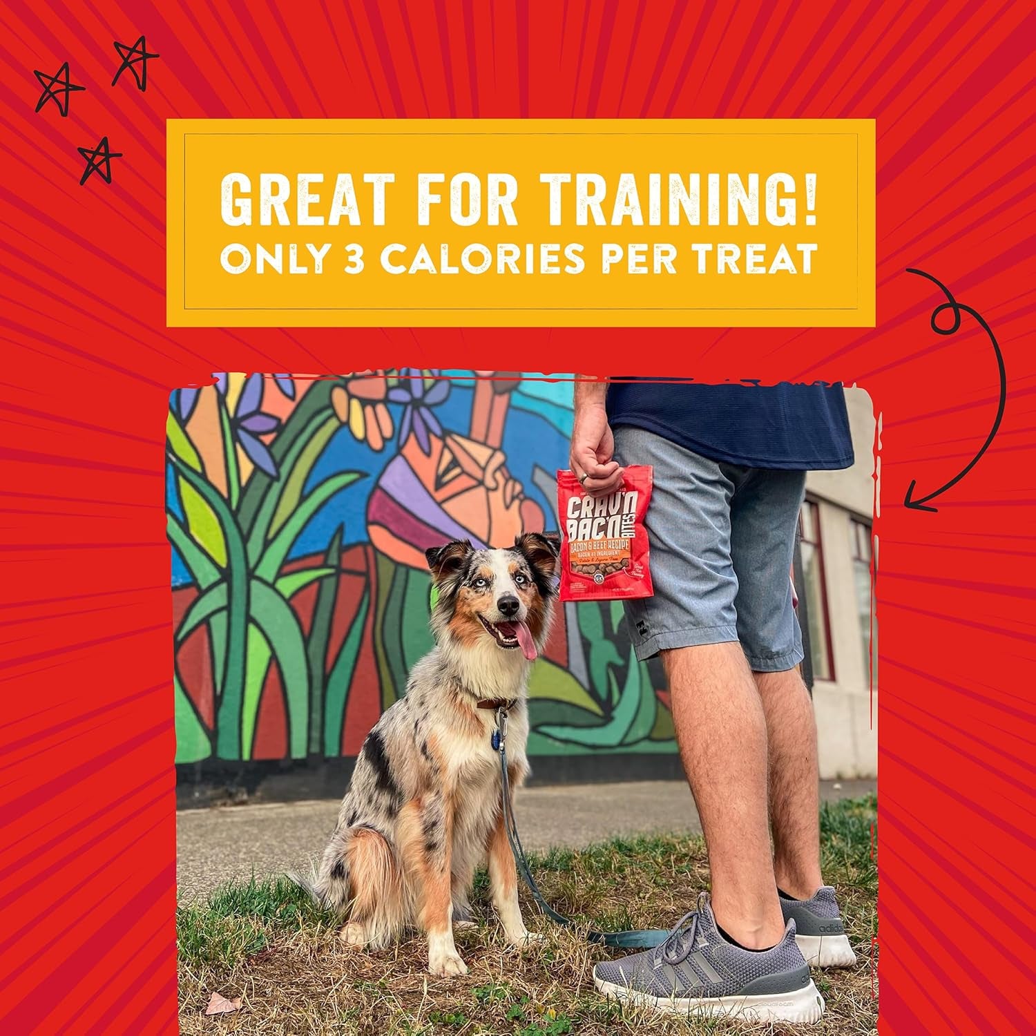 Stella & Chewy's Crav'N Bac'N Bacon & Chicken Dog Training Treats – 8.25 oz.