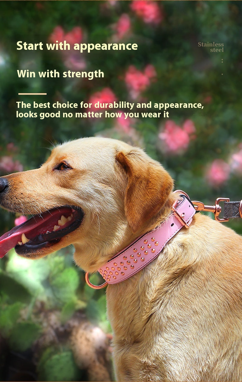 Anti-Bite Rivet Dog Collar