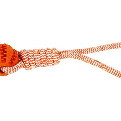 Treat Ball & Chew Rope