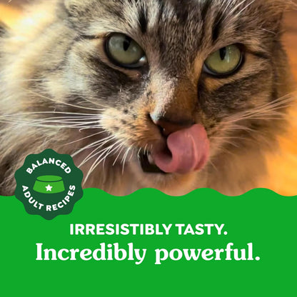 Dental Tuna Treats – 9.75 oz Tub