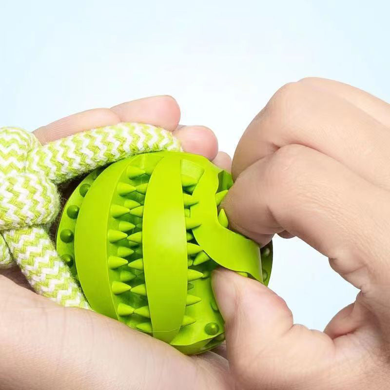 Treat Ball & Chew Rope