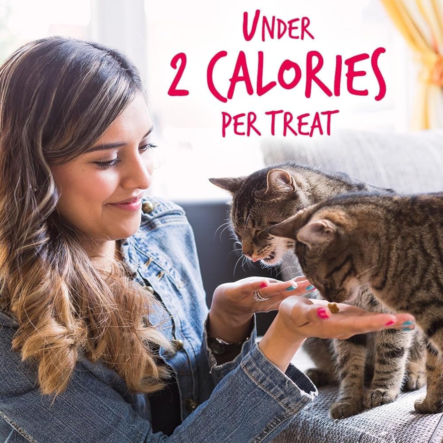 Fruitables Helathy Crunchy Salmon & Cranberry Cat Treats – 2.5 oz