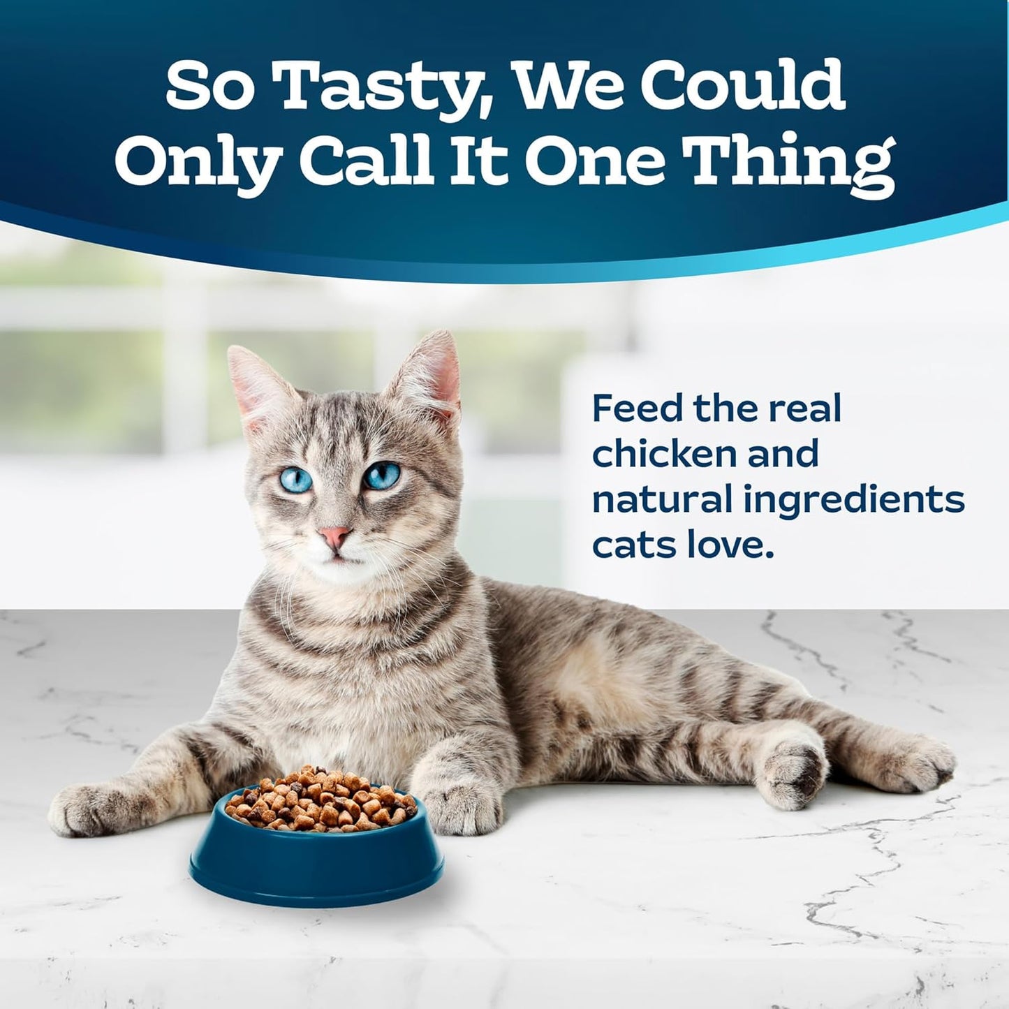 Tastefuls – Sensitive Stomach Dry Food (15 lb)