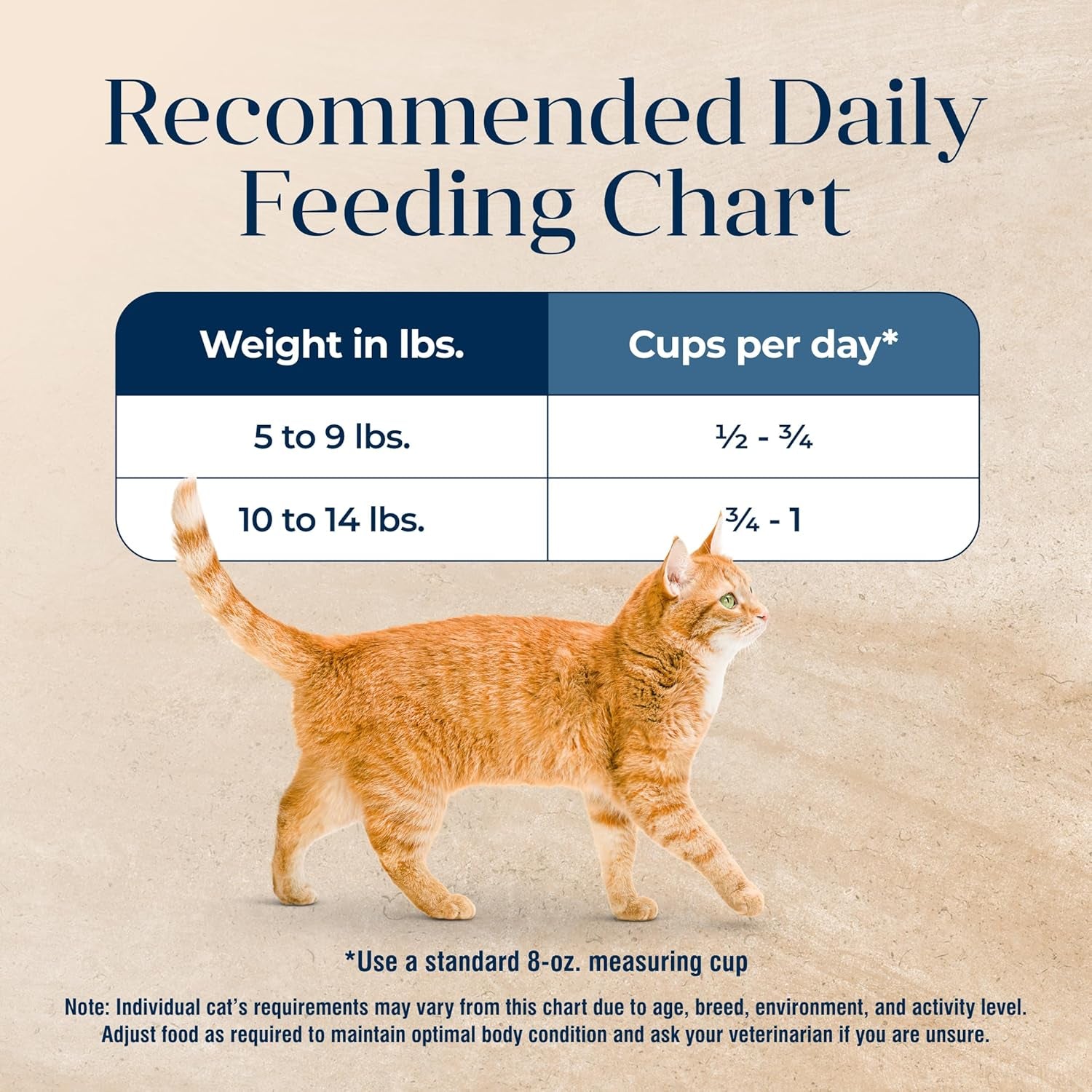 Basics Turkey & Potato Grain-Free Indoor Dry Cat Food – 11 lb