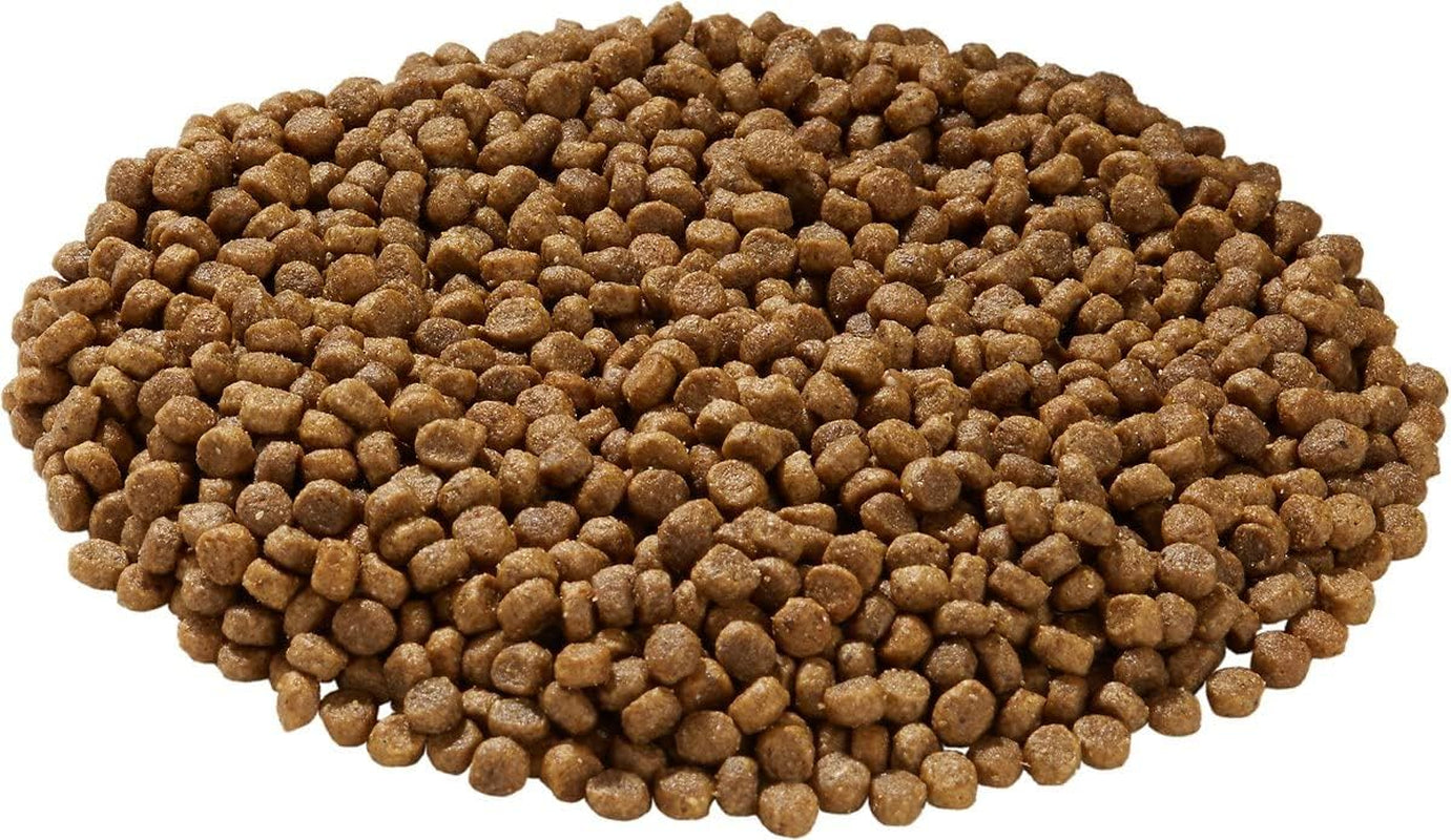 Little Bites Chicken & Brown Rice Dog Food – 10 lb
