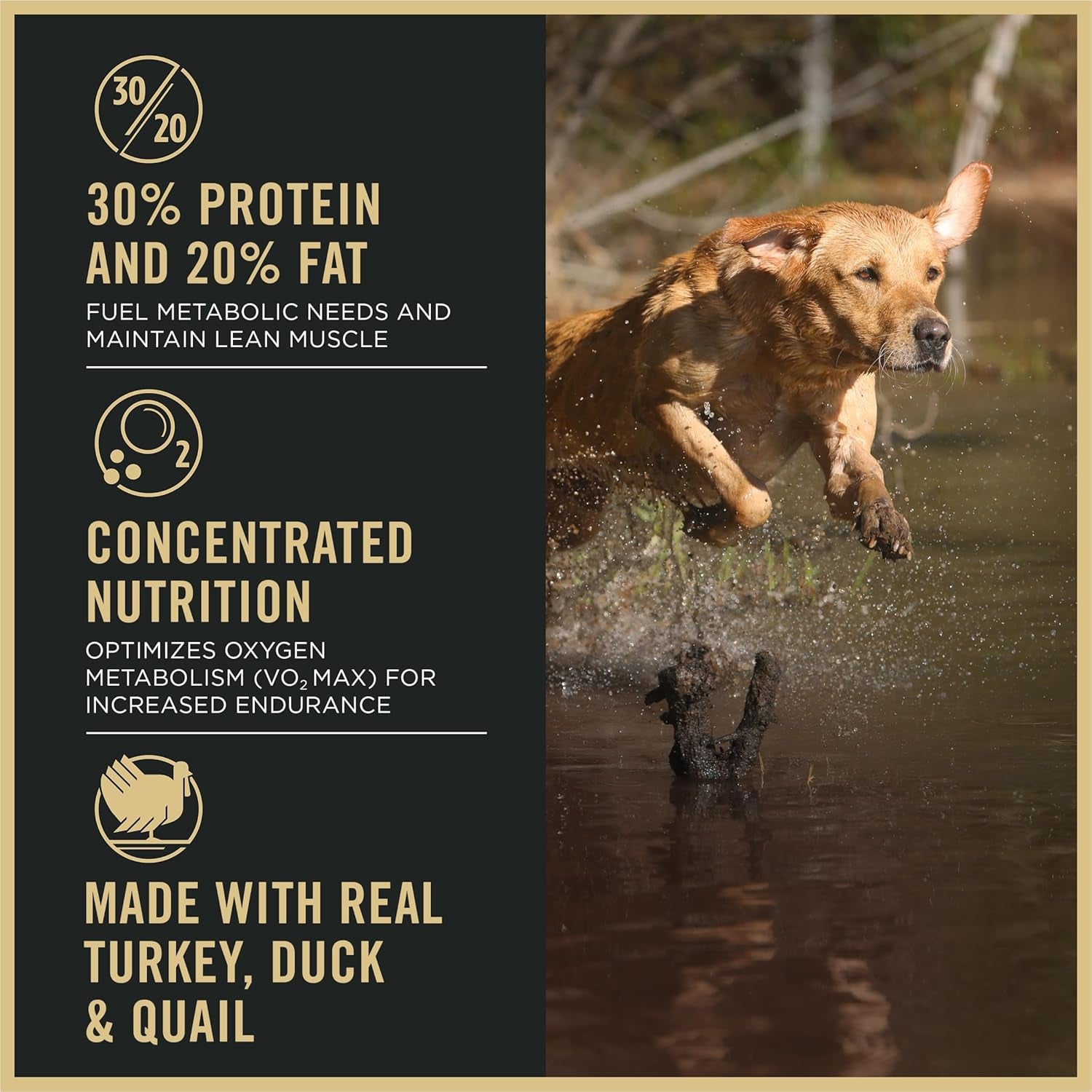 Sport Performance Turkey, Duck & Quail High-Protein Dog Food – 6 lb