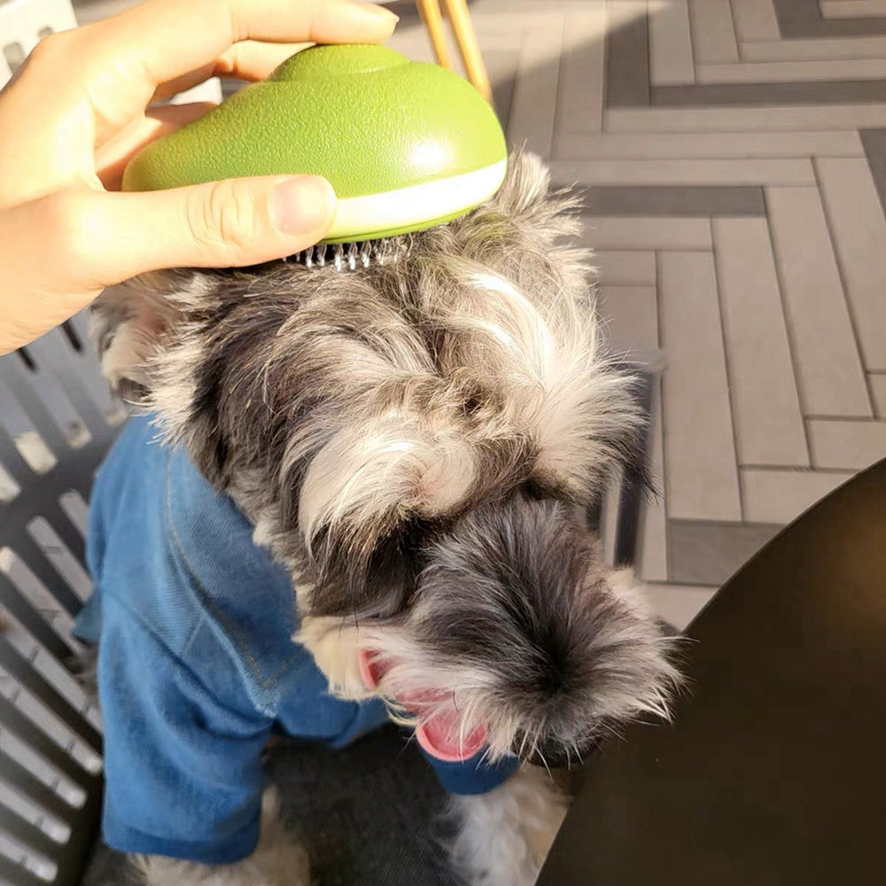 Pet Grooming Comb – Self-Cleaning Hair Remover