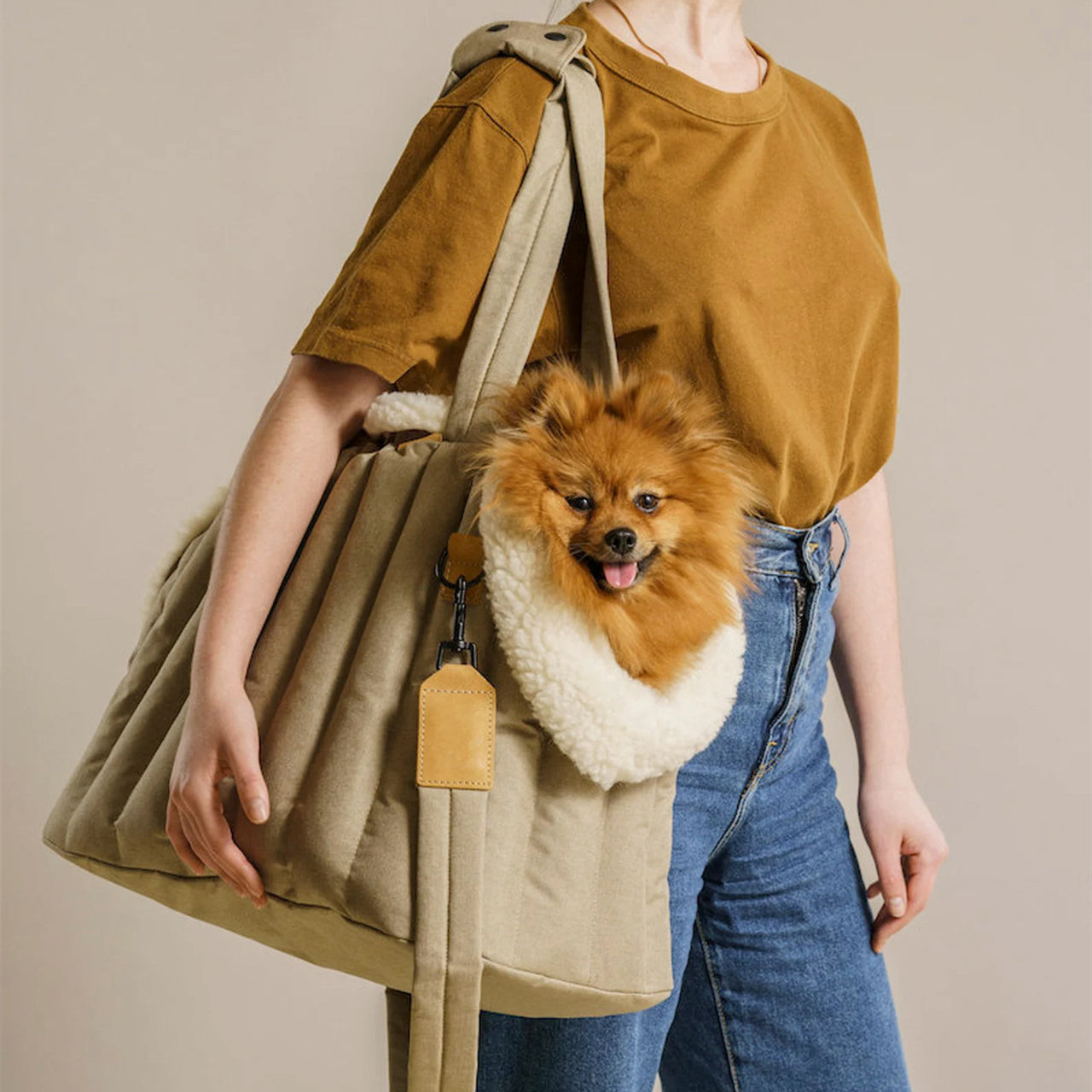 Waterproof Pet Carrier Bag – Stylish Travel & Large Capacity