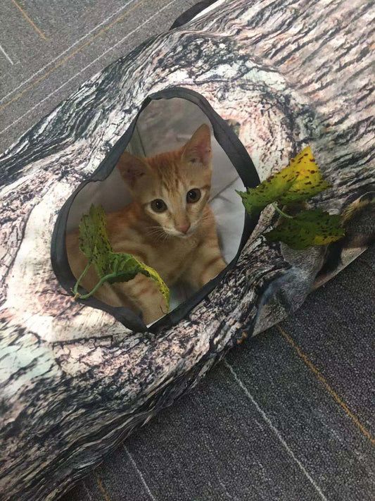 Tree Tunnel Cat Toy – Foldable & Fun