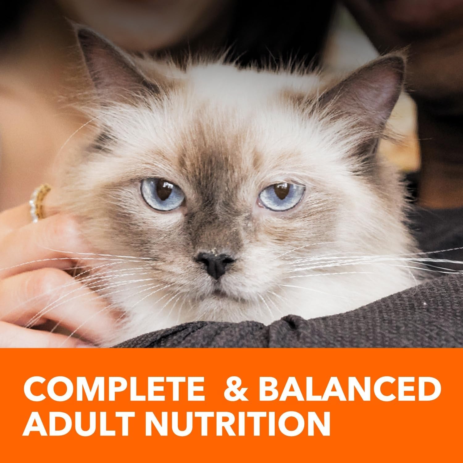 IAMS Proactive Health Chicken Adult Dry Cat Food - 7 lb