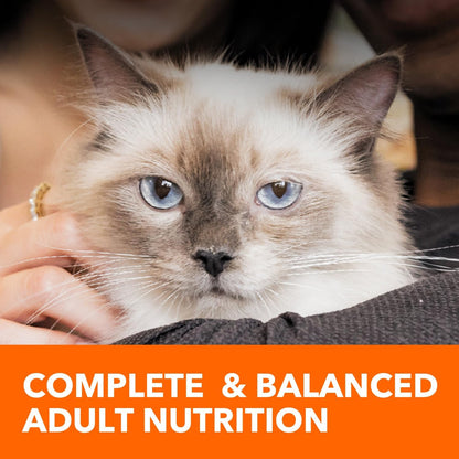 IAMS Proactive Health Chicken Adult Dry Cat Food - 7 lb