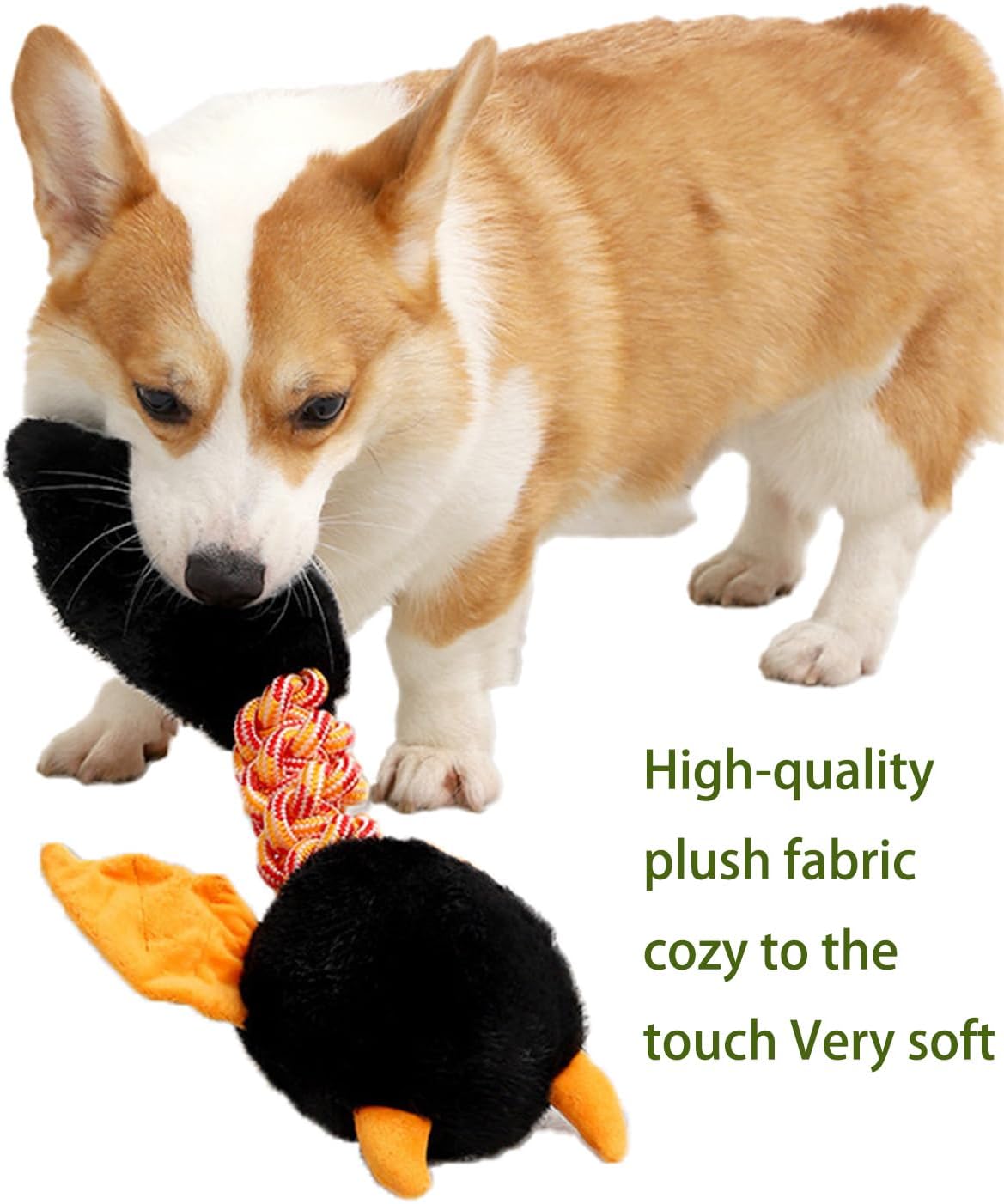 Plush Squeaky Toy – Soft Fun